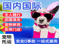 富蕴可可托海航空运输国际宠物托运 【国
